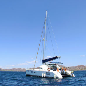 Catamaran Tour