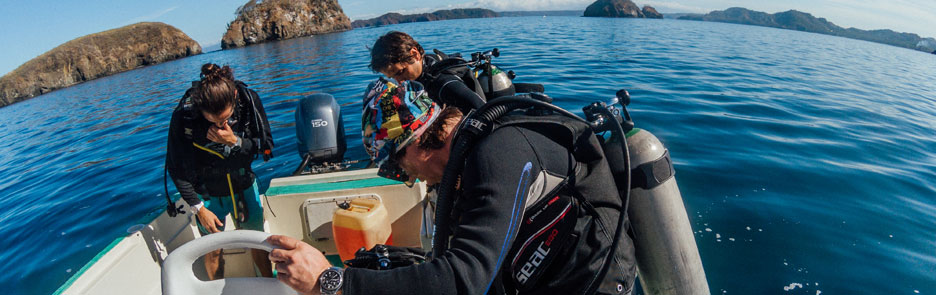 Scuba Diving Catalina Islands