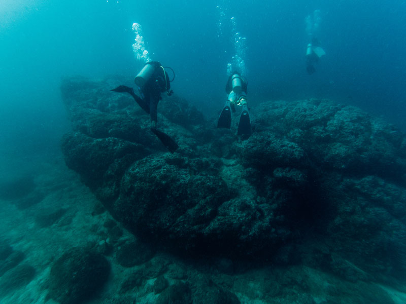 Diving reef 