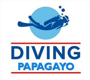 Diving Papagayo